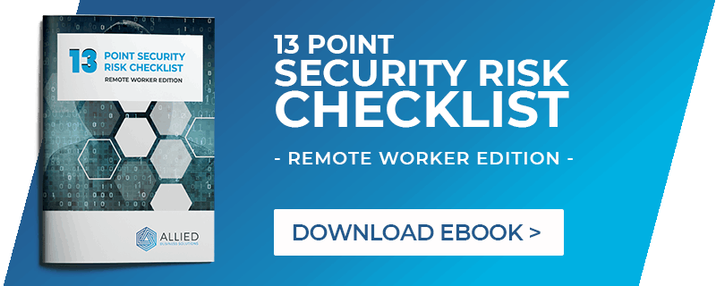 13 Point Security risk Checklist