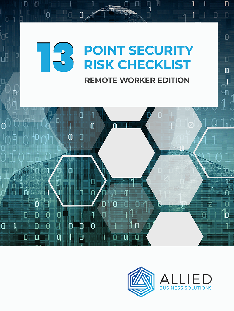 13 Point Security Risk Checklist